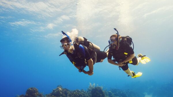 Snorkeling & Diving - Image 3