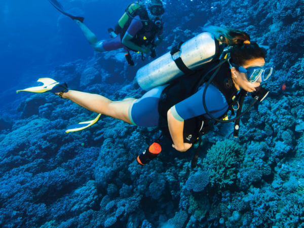 Snorkeling & Diving - Image 2