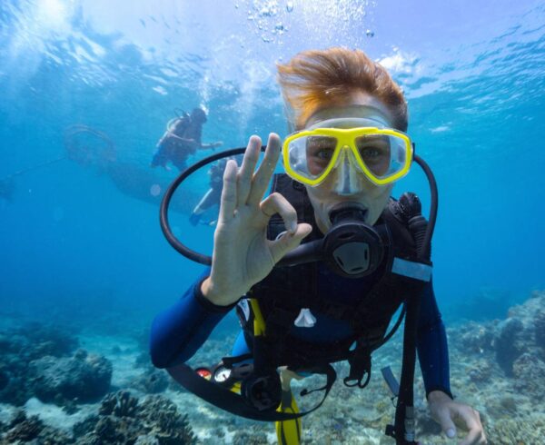 Snorkeling & Diving - Image 4